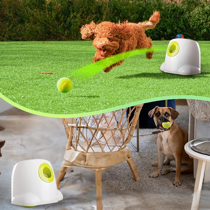 ALL FOR PAWS Automatic Ball Launcher for Dogs Interactive Puppy Pet Ball Indoor - Image 2