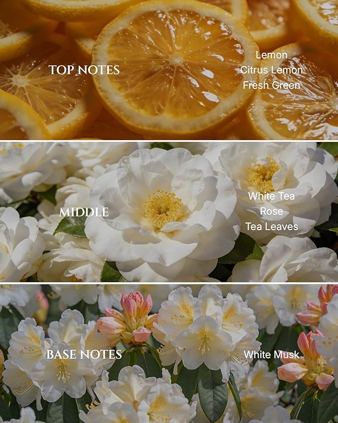 Aromadd White Tea Diffuser Oil Inspired by Luxury Hotel Scent, Essential Oils - Image 2