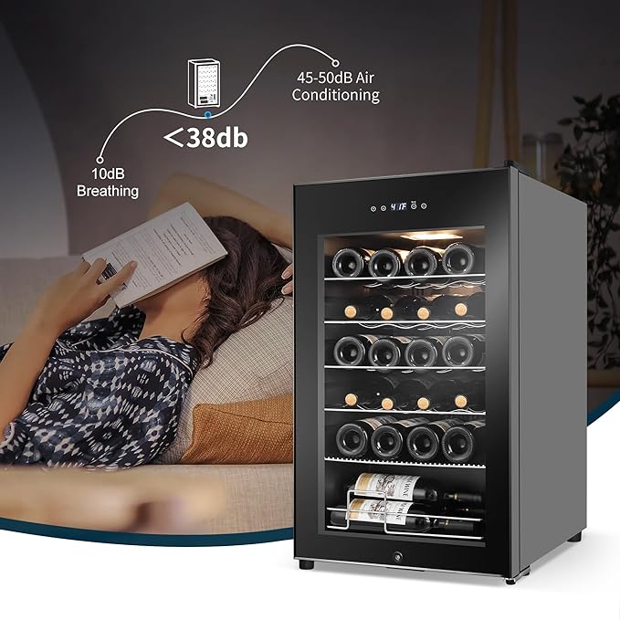 24 Bottles Wine Cooler Refrigerator, Small Wine Fridge Mini Wine Fridge - Image 7