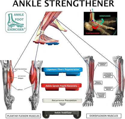 Ankle Foot Exerciser® Ankle Strengthener - Image 3