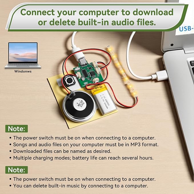 1PCS Customize Recording Module - Image 4