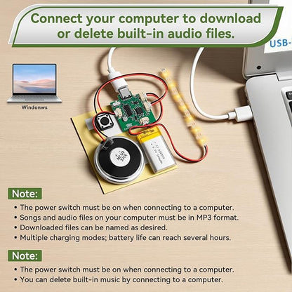 1PCS Customize Recording Module - Image 4