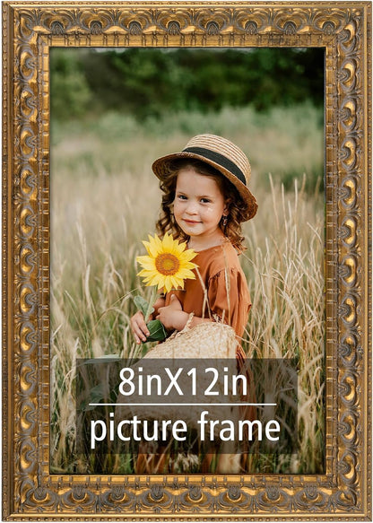 Frametory 8x12 Poster Picture Frame Real Glass Bronze Gold | Wall Mount Display, Great for Wedding, Poster, Engagement Photographs, Photo