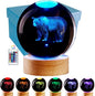3D Crystal Ball Lamp with Lifelike LED Bear, 16 Color Changing Light, Dimmable by Conalisk