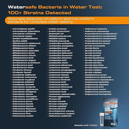 Watersafe® Bacteria Water Test Kit – USA-Made – Results as Fast as 6 Hours – - Image 4