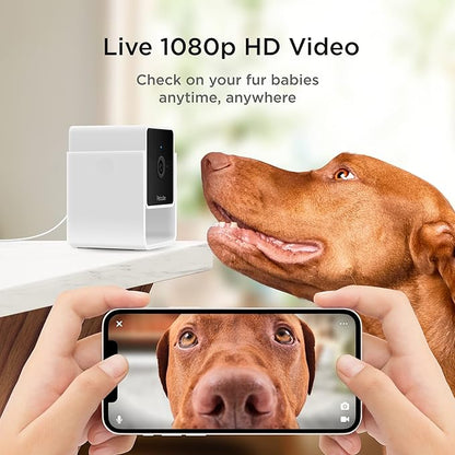 Petcube Cam | Indoor Wi-Fi Pet and Security Camera - Image 2
