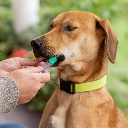 Embark Breed & Health Kit - Image 6