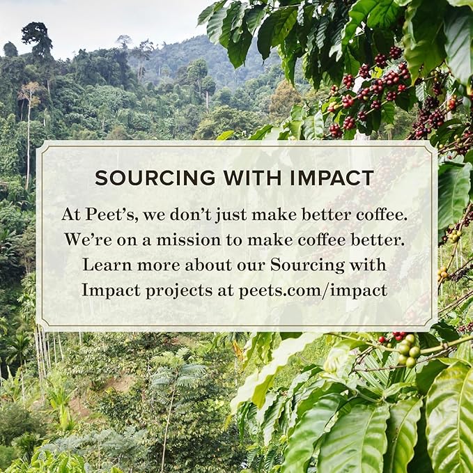 Peet's Coffee, Medium Roast Keurig K-Cup Pods - Image 6