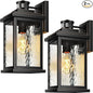 VIANIS Large Motion Sensor Outdoor Lights 2 Pack, Dusk to Dawn Outdoor Lighting by VIANISLIGHTING