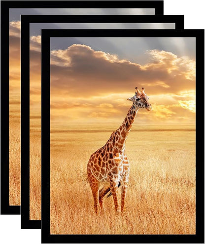 TKYGU 10 x13 Picture Frame Set of 3, Wooden Frame Black 10 x13 Wall Gallery - Image 8