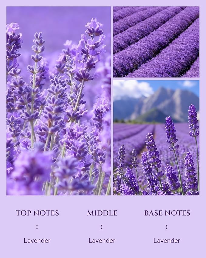 Aromadd Lavender Diffuser Oil Inspired by Luxury Hotel Scent, Essential Oils - Image 3