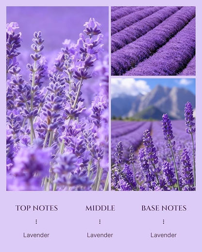 Aromadd Lavender Diffuser Oil Inspired by Luxury Hotel Scent, Essential Oils - Image 3