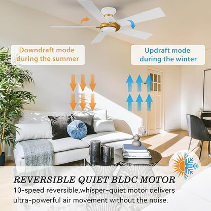 SMAAIR 52 Inch Smart Ceiling Fan - Image 6