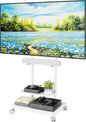 ECOTINY Steel Base Rolling TV Stand by ECOTINY