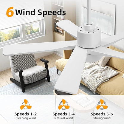 WINGBO 48 Inch DC Ceiling Fan - Image 7