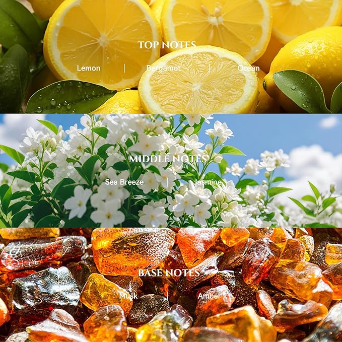 AROMADD Bergamot Coastal Diffuser Oil Inspired by Luxury Hotel Scent 3.38 Fl Oz - Image 2
