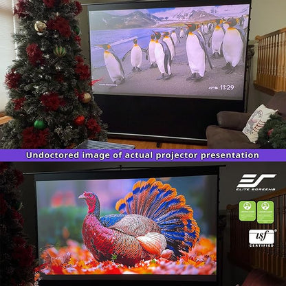 Elite Screens ezCinema Tab-Tension CineGrey 4D, 123-inch 16:9, Manual Floor - Image 9