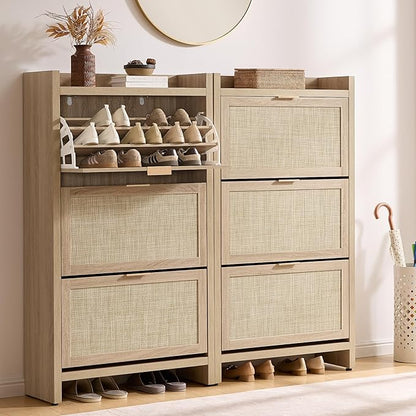 SICOTAS Rattan Shoe Storage Cabinet by SICOTAS