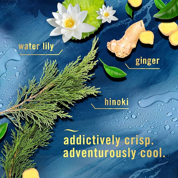 Febreze Air Mist, Luxe Air Freshener Spray, Odor Fighting Room Spray, Deodorizer - Image 4