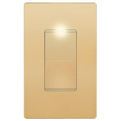 LIDER Minimalist Design Matte Finish Lighted Decorator Switch by LIDER