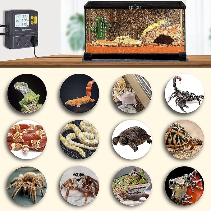 DIGITEN Reptile Temperature Controller - Image 7