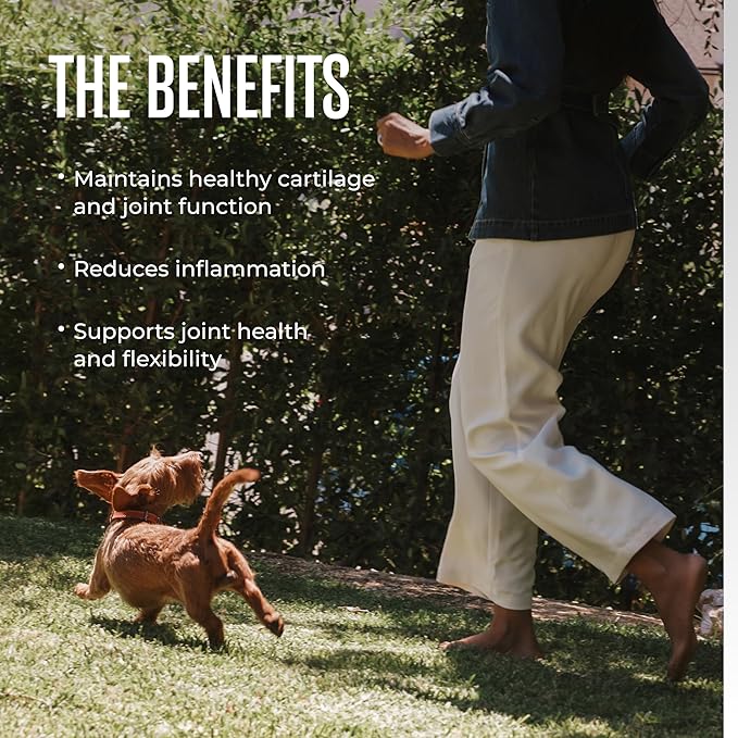 WagWell Mobility Chews – Vet-Formulated, All Natural, Made in The USA – Joint - Image 6