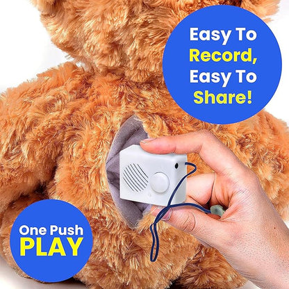 EZSound Box - 10 inch Extension Play Button - Image 2