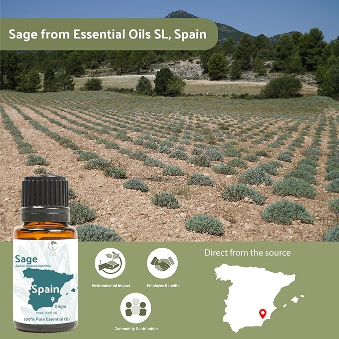Sage Essential Oil - Image 4