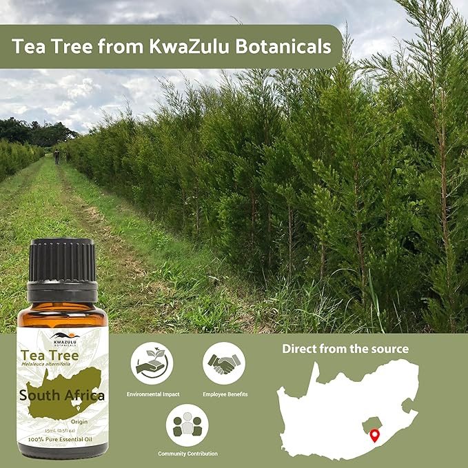 Tea Tree Essential Oil - Image 4