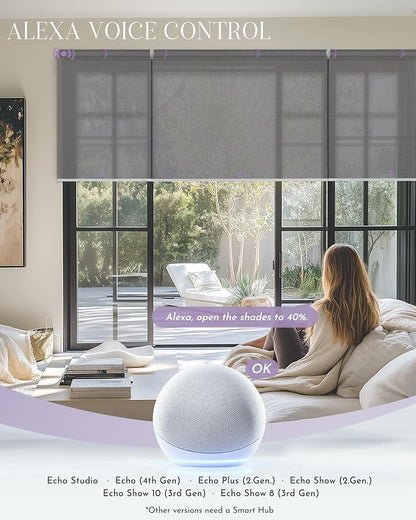 Graywind Smart Coupled Roller Shades Compatible - Image 3