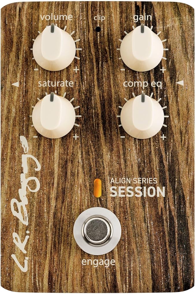 L.R. Baggs Align Session Acoustic Guitar Effects Pedal by LR+Baggs