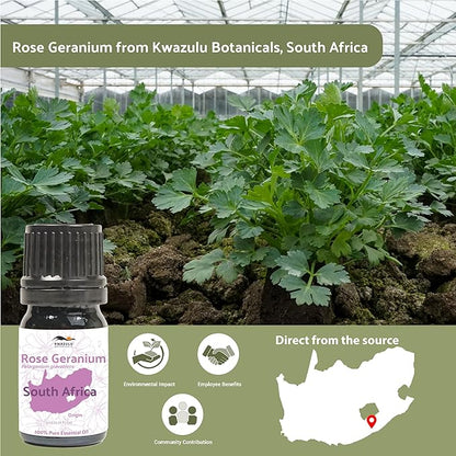 Rose Geranium Essential Oil - Image 5