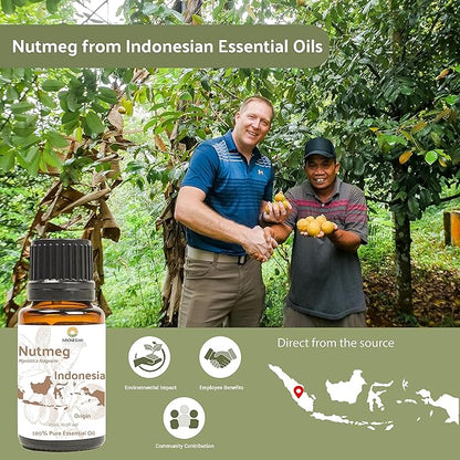 Nutmeg Essential Oil - Image 4